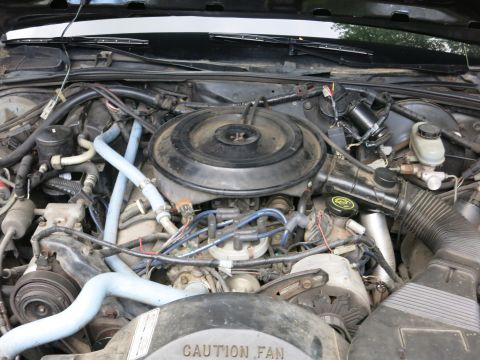 1991 Ford LTD Crown Victoria - Engine bay of a vehicle showing a round air cleaner, blue coolant hoses and a CAUTION FAN warning label.