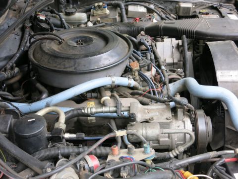 1991 Ford LTD Crown Victoria - Engine compartment showing a black round air cleaner, air-conditioning compressor, blue hoses and wiring.