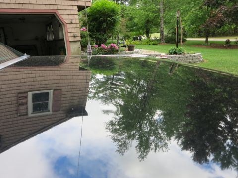 1991 Ford LTD Crown Victoria - Glossy black car trunk lid mirroring trees, sky and a shingled house, with a thin antenna rising at left.