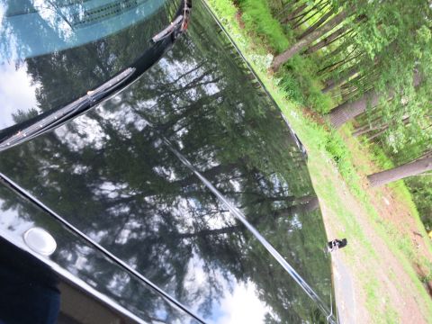 1991 Ford LTD Crown Victoria - Angled view of a glossy black car roof and windshield edge reflecting surrounding trees and overcast sky.
