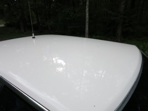 1991 Ford LTD Crown Victoria - White painted car roof with a tall whip antenna and chrome trim, photographed against a wooded background.