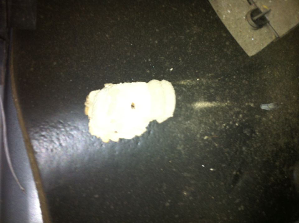 White putty on dark surface