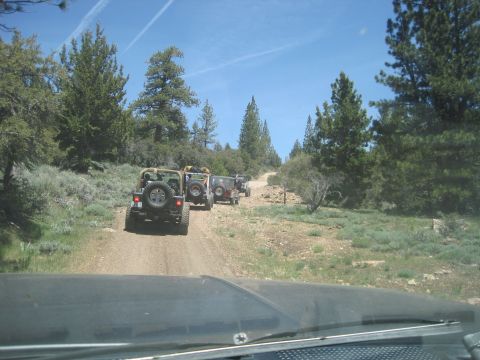 1989 Ford Bronco - A convoy of Jeeps navigates a dusty trail surrounded by trees under a bright blue sky.