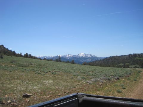 1989 Ford Bronco - View from a truck bed shows a vast landscape with rolling hills and distant snow-capped mountains.