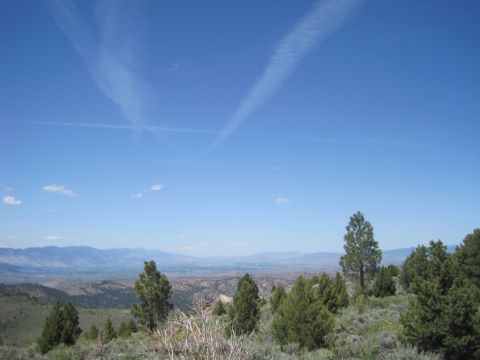 1989 Ford Bronco - A wide shot of a valley and distant mountains, with trees in the foreground under a bright blue sky.