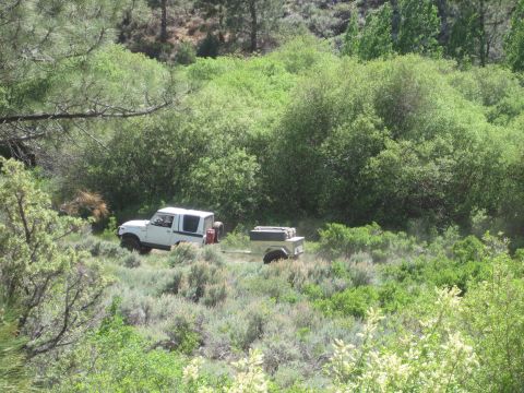 1989 Ford Bronco - A white SUV tows a trailer through a brushy, off-road environment.