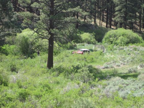 1989 Ford Bronco - A red Jeep Wrangler navigates a grassy, wooded hillside.
