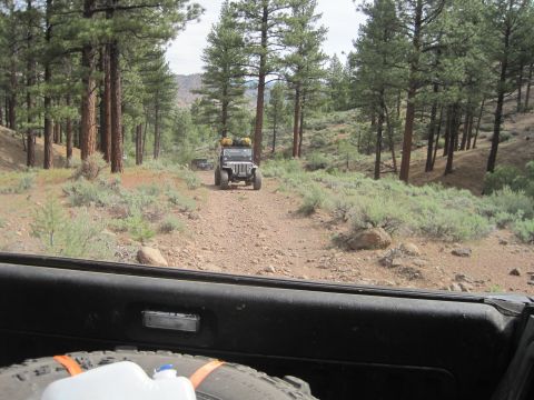 1989 Ford Bronco - Two Jeeps travel down a dusty forest road, one following the other.