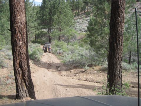 1989 Ford Bronco - A black Jeep Wrangler navigates a dirt road through a wooded area.