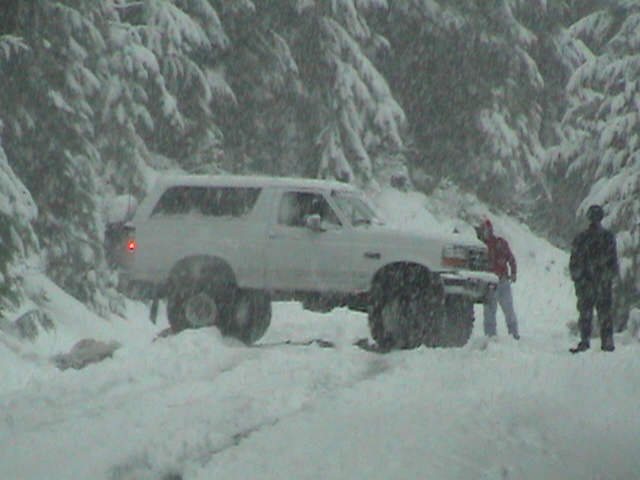 Alvey turning around in the trail. He's had enough waiting on Jim and I. (just kidding Alvey)