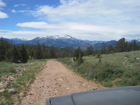1989 Ford Bronco - A view from a vehicle driving on a dirt road through a mountainous, forested area.