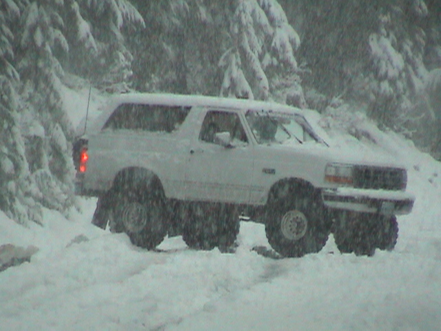 Alvey turning around in the middle of the trail