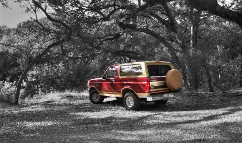 1994 Ford Bronco - 1994 Ford Bronco Eddie Bauer