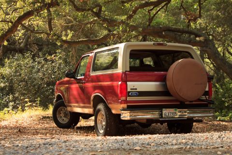 1994 Ford Bronco - 1994 Ford Bronco Eddie Bauer