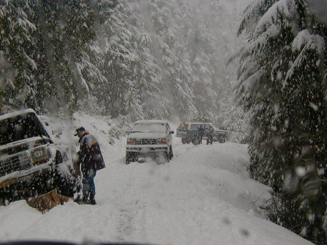 SUVs stuck on a snowy forest road during heavy snowfall with a person standing nearby