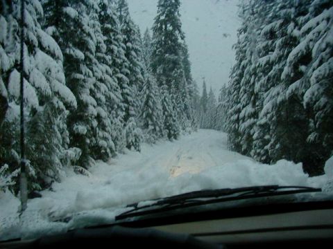 1994 Ford Explorer - Had nothing to do as I was driving down the road after being winched out by Bob, Tommy, Nick & Ken. Alot of snow accumulated in a short time