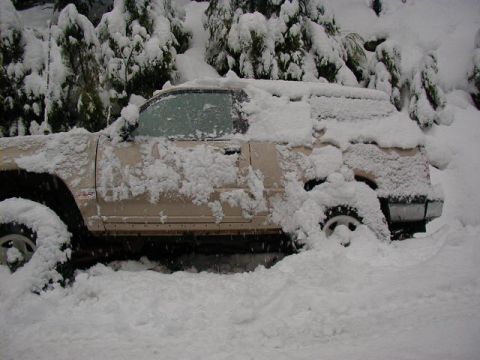 1994 Ford Explorer - The snow really accumulated. Probably a good 4 inches in a couple hours