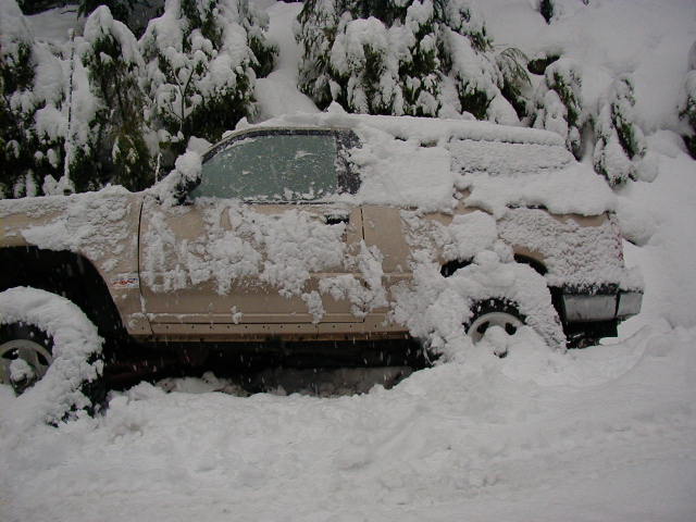 The snow really accumulated. Probably a good 4 inches in a couple hours