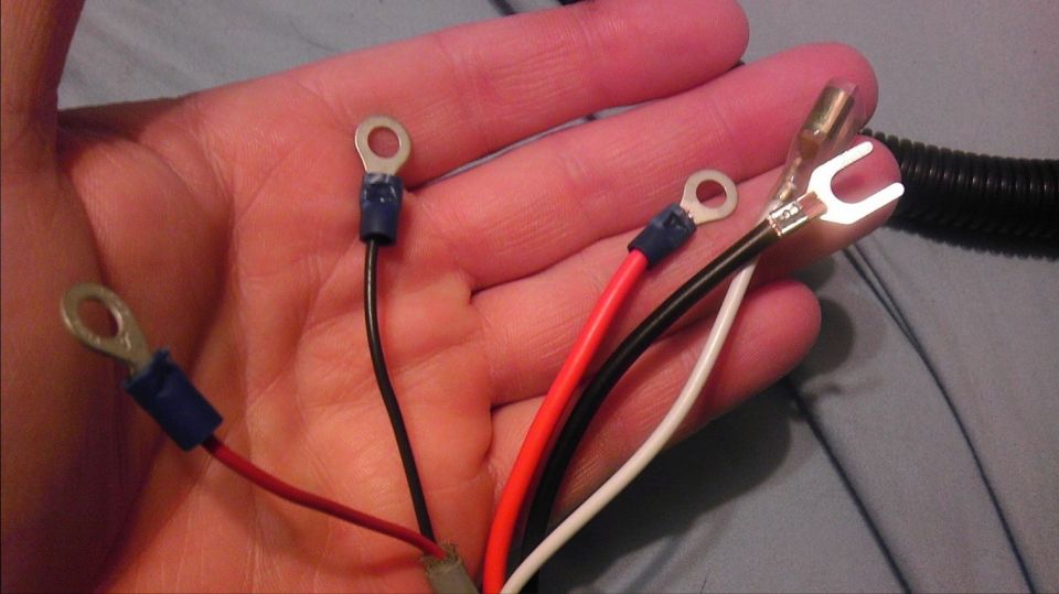 Hand holding a wiring harness with red, black, and white wires, each with a ring terminal, and one black wire with a spade connector