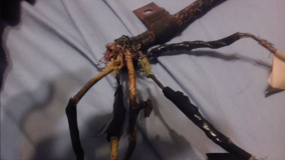 Damaged wiring harness with frayed wires and exposed copper
