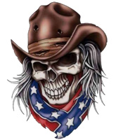 1995 Ford Bronco - Skull graphic with cowboy hat and confederate flag bandana.