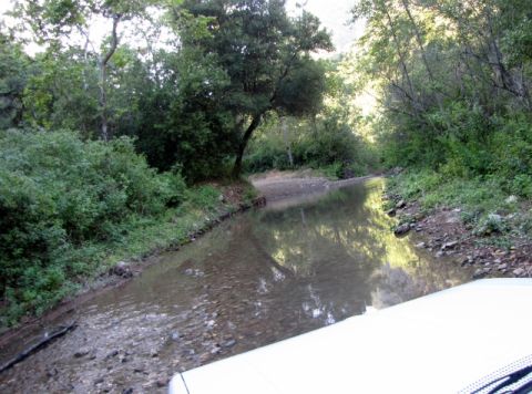 1992 Ford Explorer - A vehicle navigates a rocky stream bed surrounded by dense green foliage.