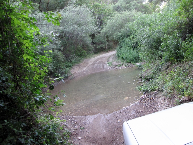 Dirt road goes through a shallow water crossing surrounded by trees. Part of a white vehicle is visible on the right