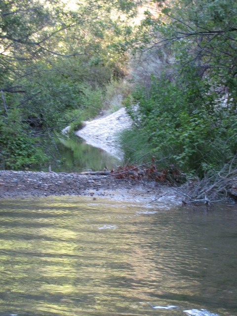 1992 Ford Explorer - A scenic view of a stream winding through a natural landscape with trees and brush.