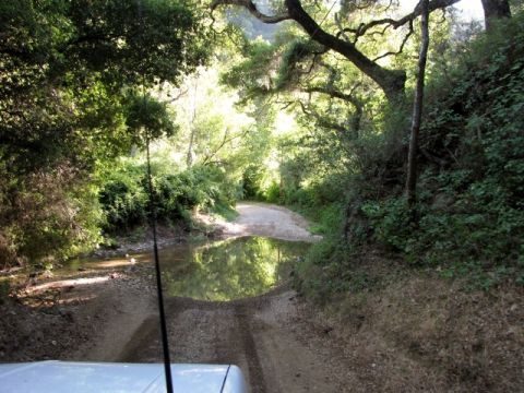 1992 Ford Explorer - A vehicle travels down a dirt road, passing through a shallow puddle surrounded by lush greenery.