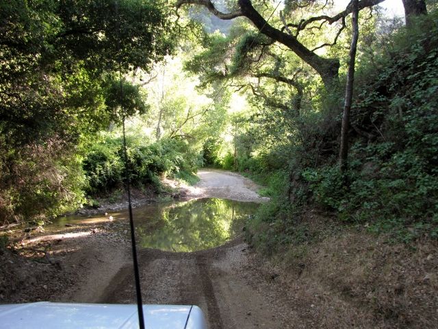 Dirt road with a puddle reflecting trees, seen from a vehicle's perspective