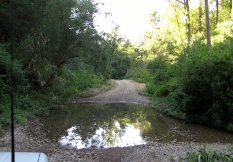 1992 Ford Explorer - A dirt road winds through a wooded area, crossing a shallow stream reflecting the trees above.