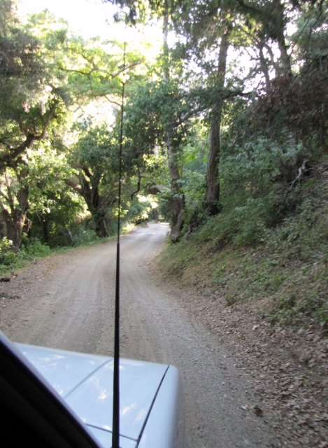 1992 Ford Explorer - A white vehicle travels down a dusty, tree-lined road.