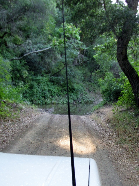 1992 Ford Explorer - A vehicle navigates a dirt road through a forest, with a puddle ahead.