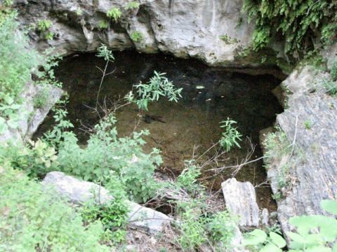 1992 Ford Explorer - A natural pool of water is seen within a rocky outcrop, surrounded by lush green foliage.
