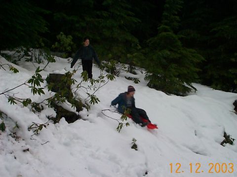 1983 Ford Bronco - Kassie goes sledding