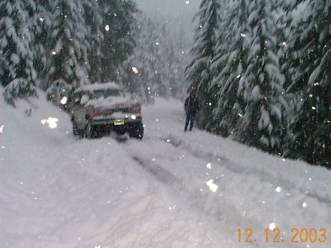 1983 Ford Bronco - Truck stuck in snow on a wooded road during a heavy snowfall.