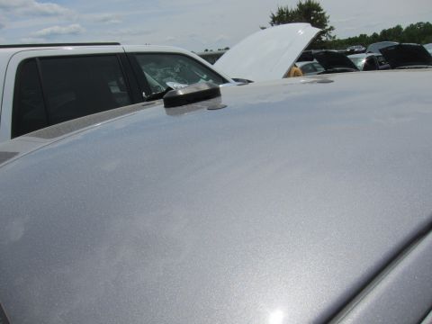 1991 Ford LTD Crown Victoria - Silver car roof detail with other vehicles in the background.