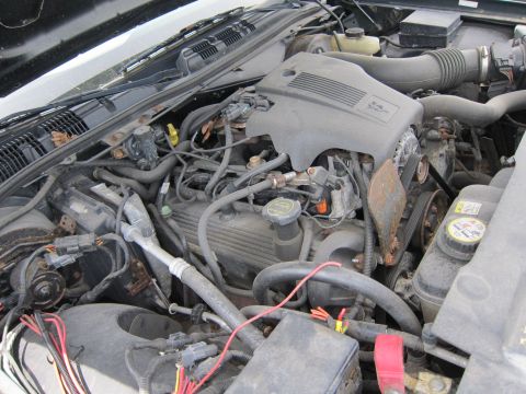 1991 Ford LTD Crown Victoria - The engine bay of a vehicle, showing the V8 engine, various hoses, and electrical wiring.