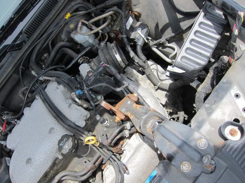 1991 Ford LTD Crown Victoria - Close-up view of a cluttered engine bay, showing many hoses and electrical wires.