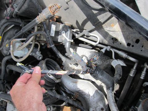 1991 Ford LTD Crown Victoria - A hand holds a frayed engine wiring harness, revealing multiple colored wires.