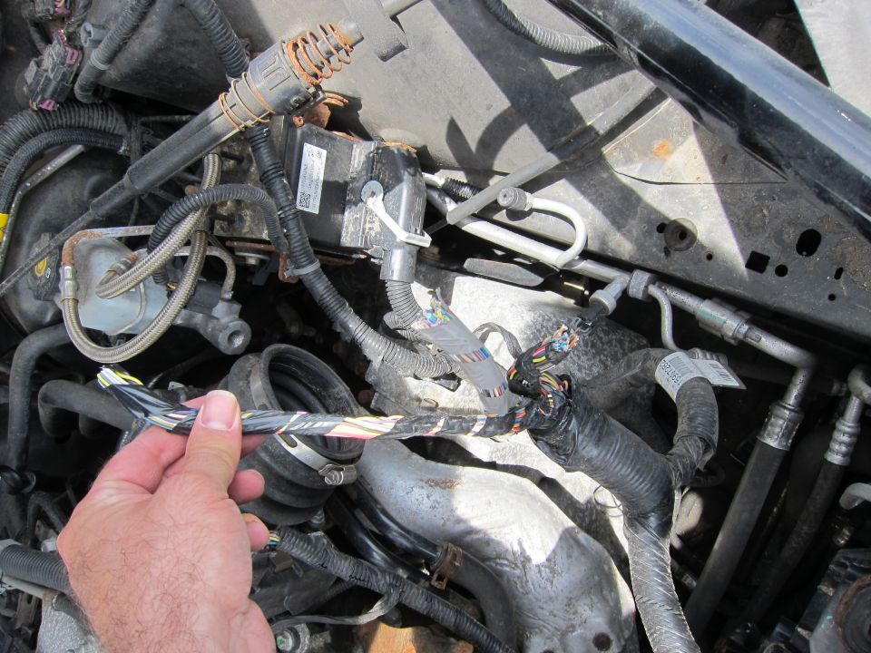 Hand holding damaged engine wiring harness with exposed wires