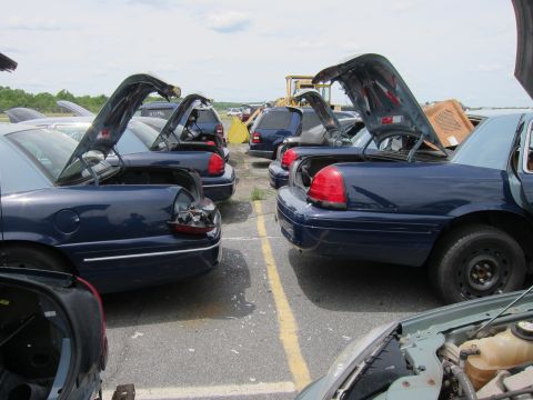 1991 Ford LTD Crown Victoria - Multiple dark blue Ford Crown Victoria sedans are parked in a lot, their trunks open, revealing their interiors.