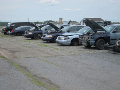 1991 Ford LTD Crown Victoria - Several Ford Crown Victoria police cars are lined up in a junkyard, most with their hoods open, revealing their engines.