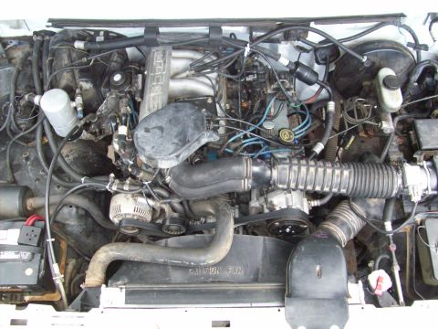1993 Ford F-150 “Mtn. Bolt”