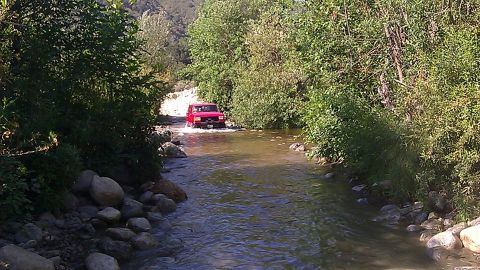 1988 Ford Bronco - Red 1988 Ford Bronco navigates a rocky stream bed surrounded by dense foliage.