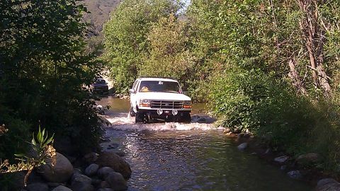 1988 Ford Bronco - Two SUVs navigate a shallow creek bed surrounded by lush green foliage.