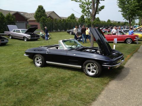 1988 Ford Bronco - A black convertible is displayed with its hood open at an outdoor car show, surrounded by other vehicles.