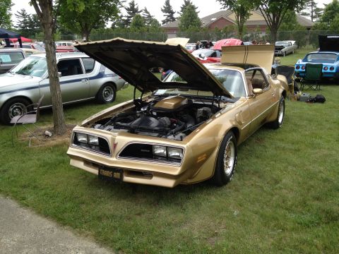 1988 Ford Bronco - Gold 1977 Pontiac Trans Am displayed with its hood open at an outdoor car show.