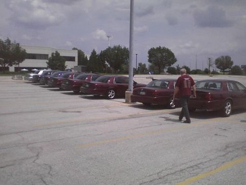 2003 Ford Crown Victoria - A group of maroon 2003 Ford Crown Victorias are parked in a lot under a cloudy sky.
