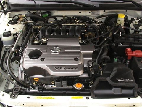 2004 Nissan Maxima photo